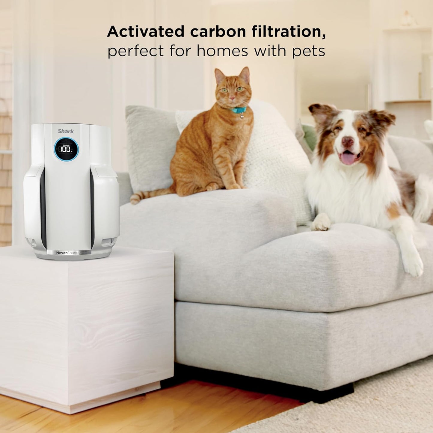 Home purifier with NeverChange HEPA air filter for multi-room powerful purification, filters smoke and captures 99.98% of particles and dust