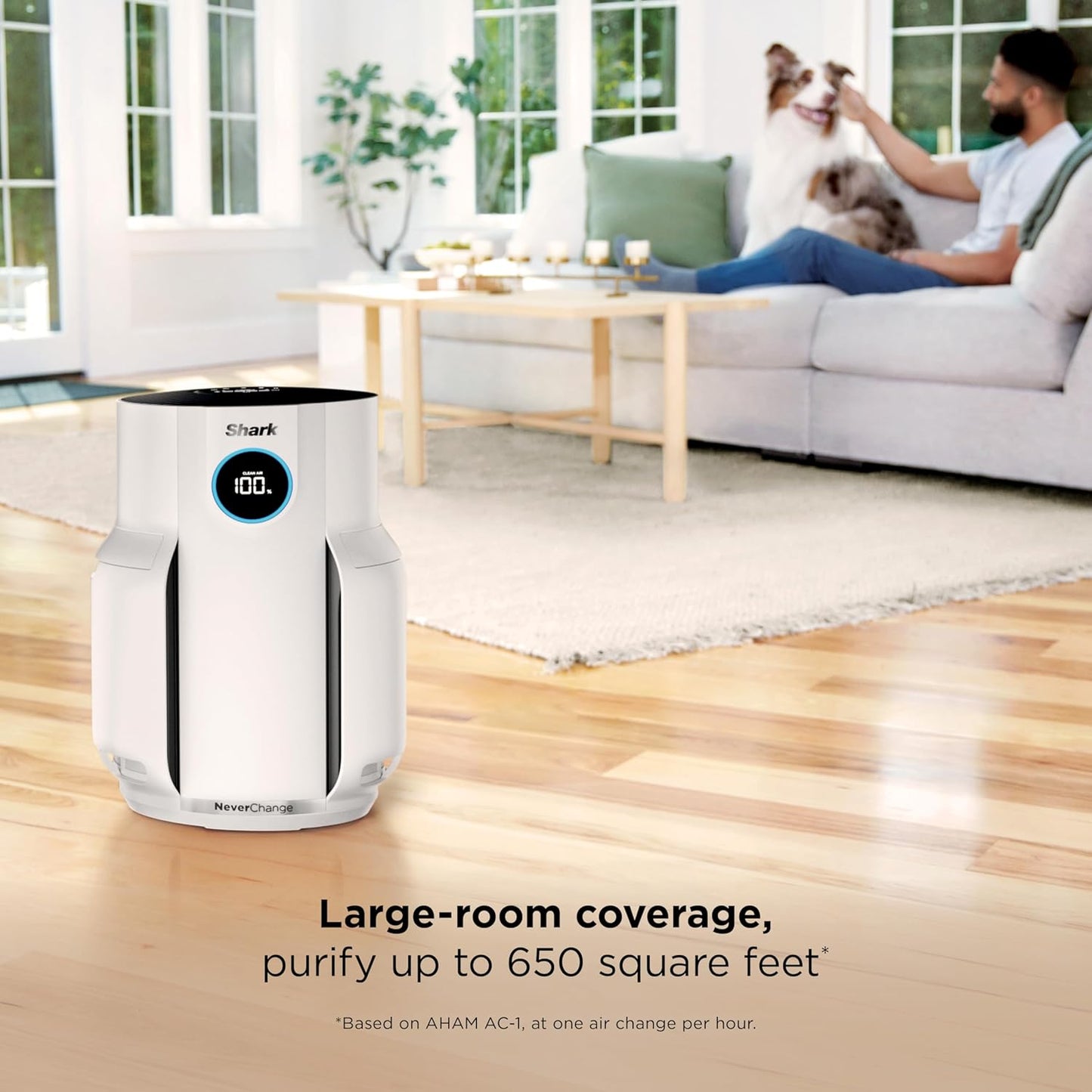 Home purifier with NeverChange HEPA air filter for multi-room powerful purification, filters smoke and captures 99.98% of particles and dust